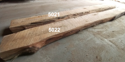 Live Edge Maple Slab id 5022