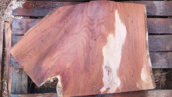 Live Edge Oak Slab id 3011 Front Side