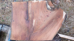 Live Edge Oak Slab id 3013 Back Side